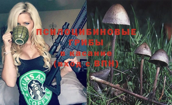 бутират Арсеньев